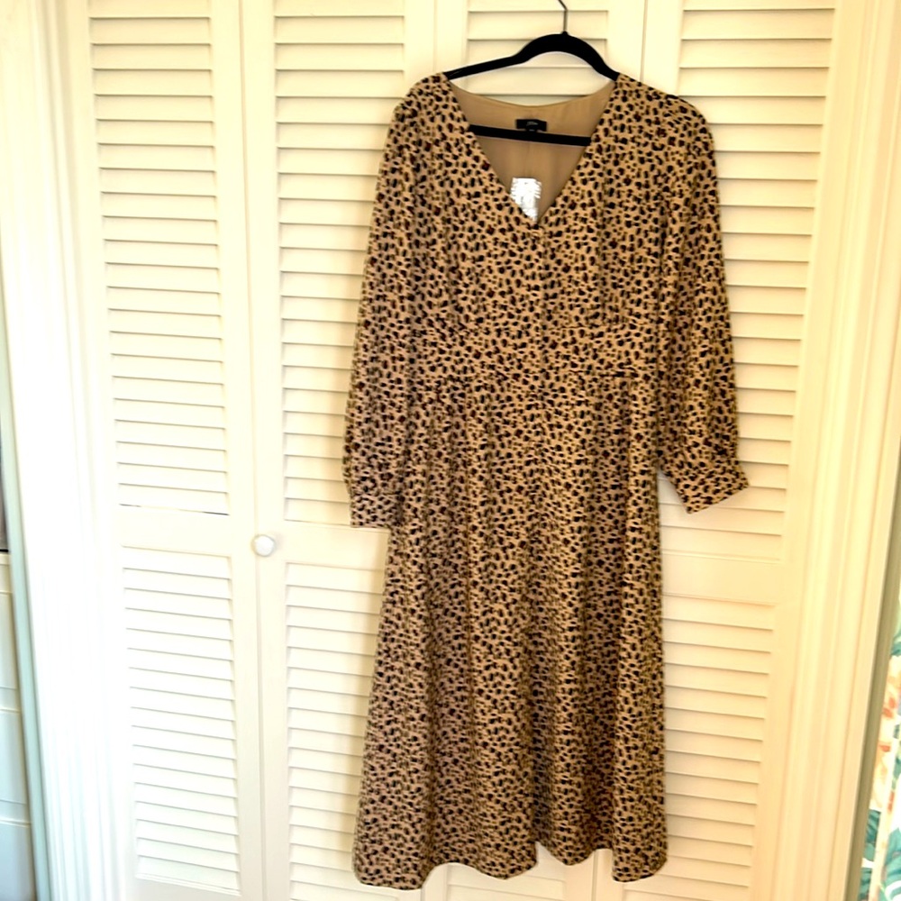 JCrew Leopard Print Dress